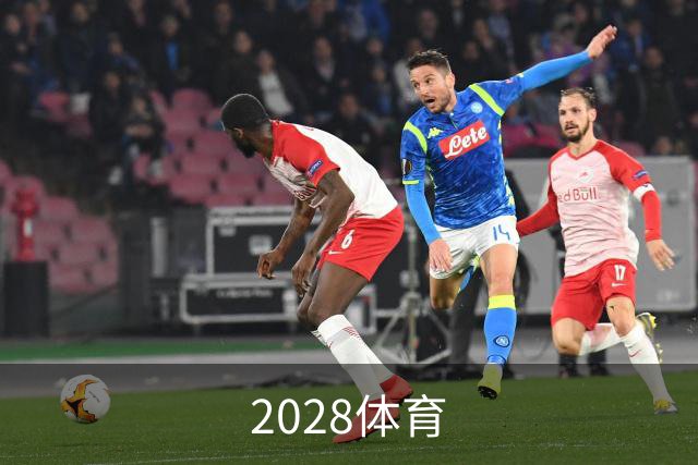 2028体育 公司简介